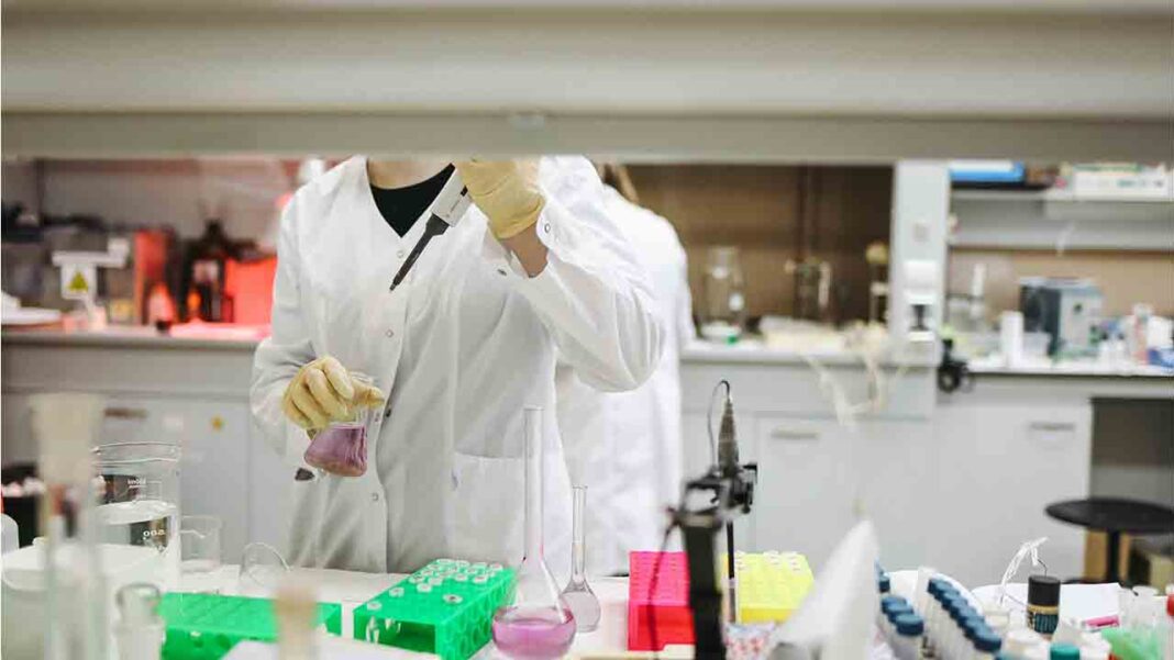 Insect protein for immunotherapy treatment Insect protein for immunotherapy treatment