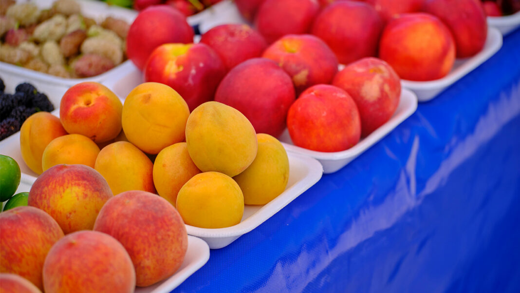 Seasonal fruits ushers health benefits Seasonal fruits ushers health benefits
