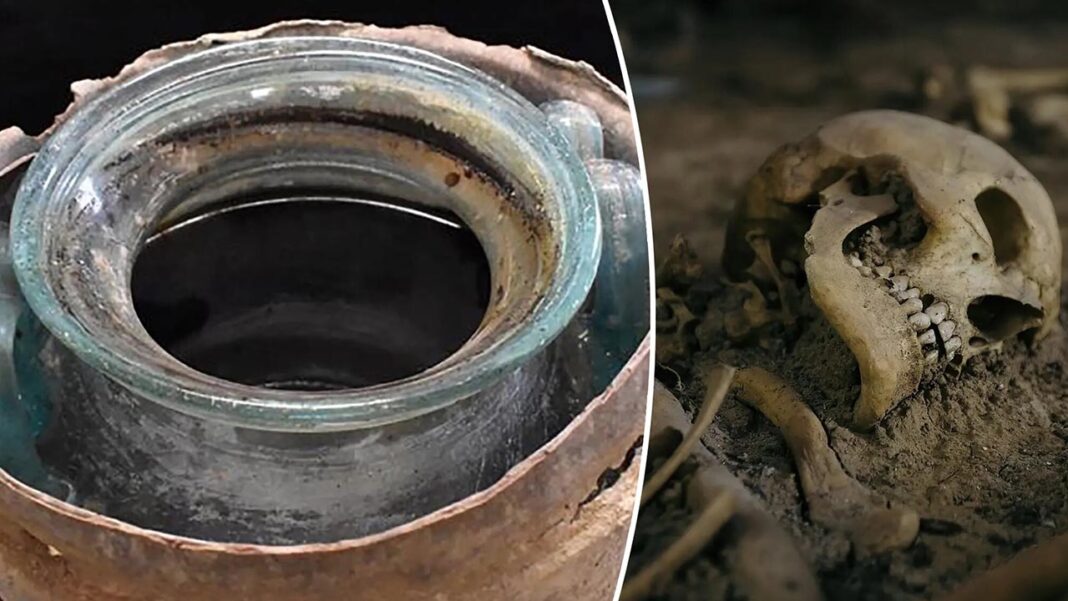 Unearthing the world’s oldest wine Unearthing the world’s oldest wine