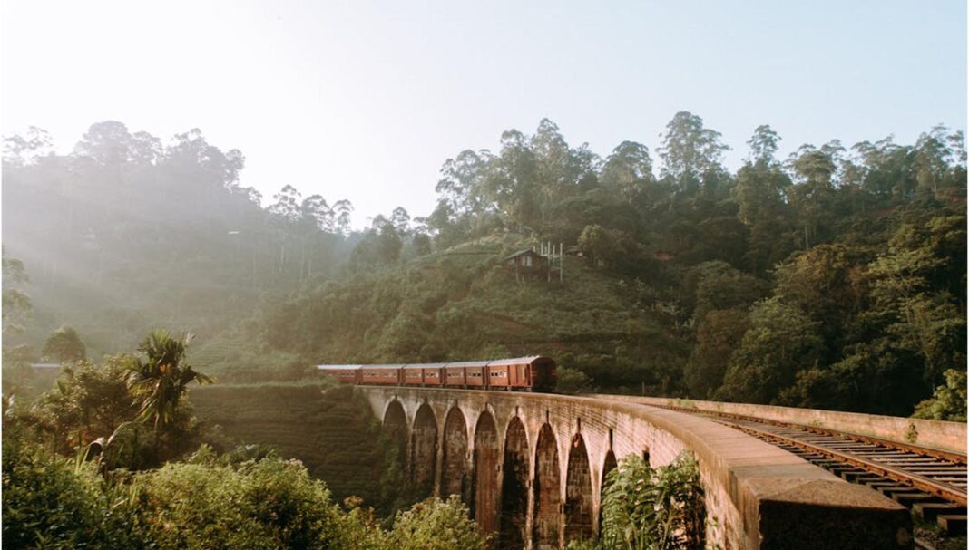 Forbes ranks Sri Lanka as a top must-see country Forbes ranks Sri Lanka as a top must-see country