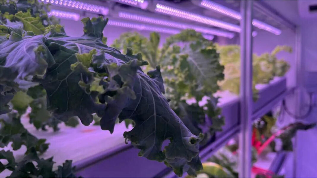 Nottingham Trent University offers a Master in Smart Agriculture Nottingham Trent University offers a Master in Smart Agriculture