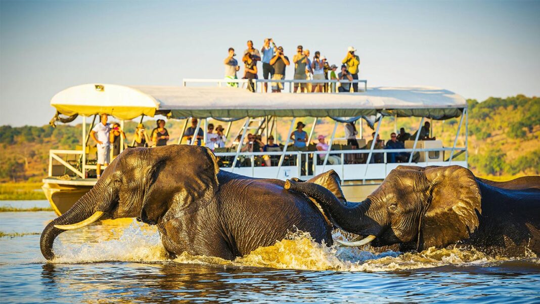 Exploring Botswana – Your Ultimate Summer Escape for 2024! Exploring Botswana – Your Ultimate Summer Escape for 2024!