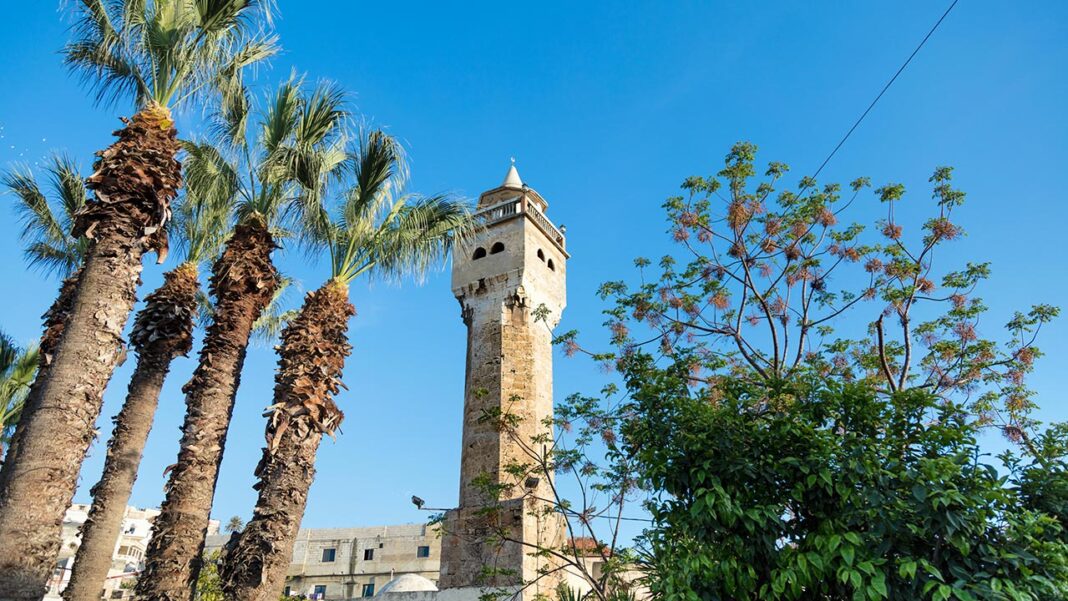 Malta – Libya discuss Security and irregular migration Malta – Libya discuss Security and irregular migration