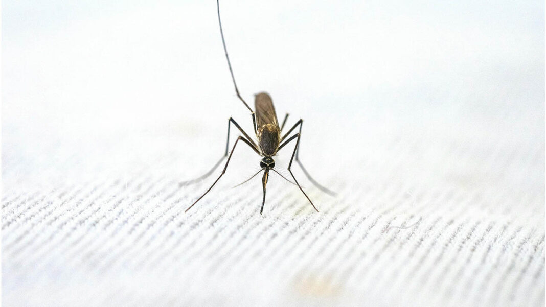 Malaria drug resistance raises alarms Malaria drug resistance raises alarms