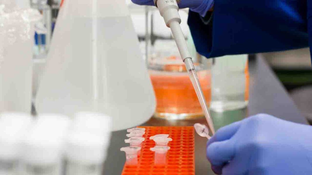 New drug target for leukemia-causing virus New drug target for leukemia-causing virus