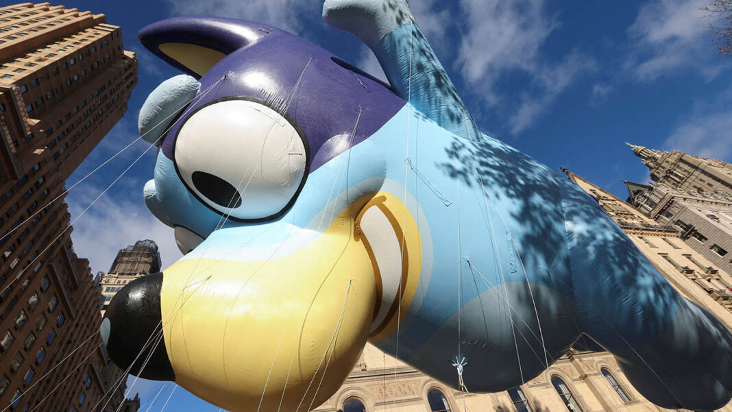 Rare Bluey coins theft Rare Bluey coins theft