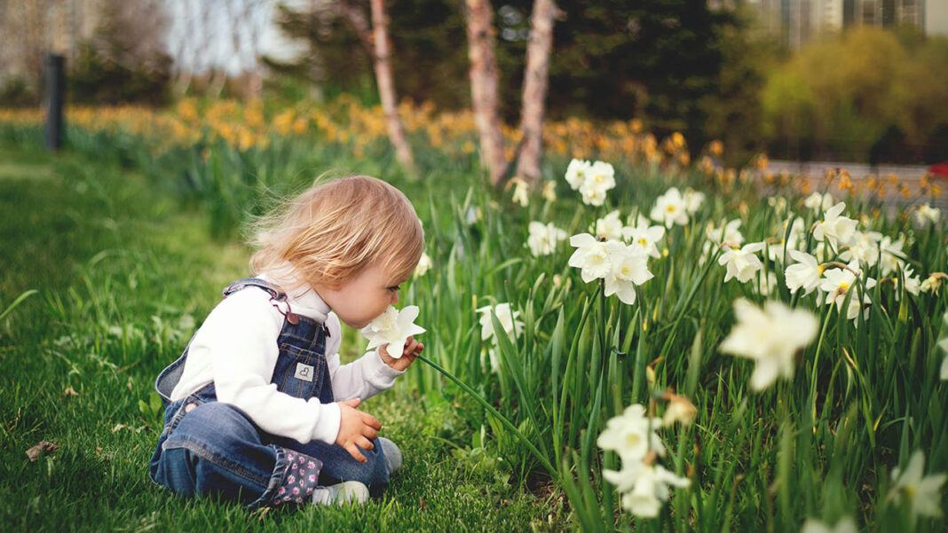 Can smell prepare us for infection? Can smell prepare us for infection?