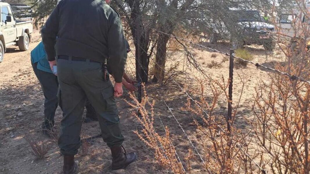 South Africa, Botswana Crack Down on Cross-Border Crime South Africa, Botswana Crack Down on Cross-Border Crime