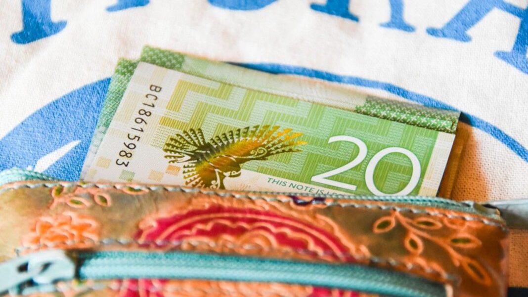 Can New Zealand Avoid a Recession? Service Sector Slump and China’s Deflation Raise Concerns Can New Zealand Avoid a Recession? Service Sector Slump and China’s Deflation Raise Concerns