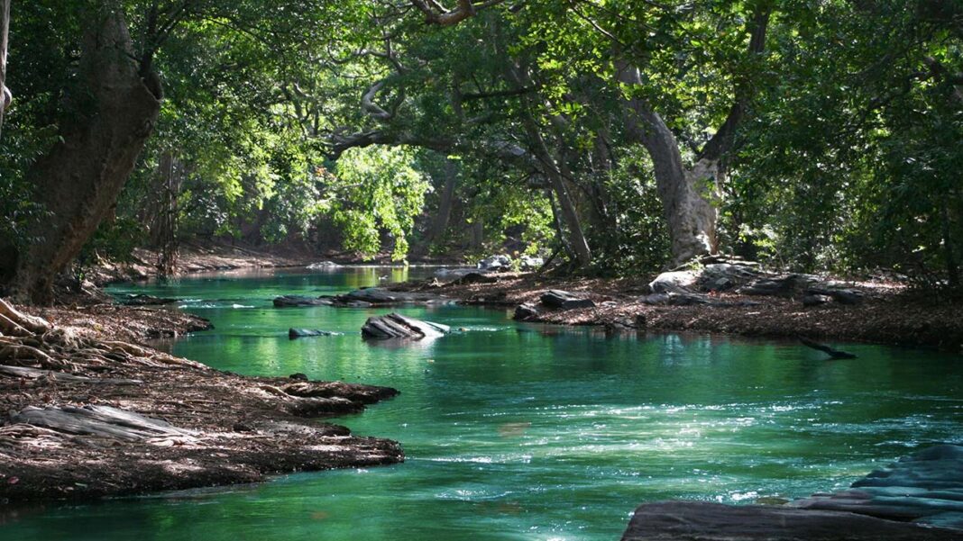 The Environmental Cost of Illegal Mining and the Fight to Stop It The Environmental Cost of Illegal Mining and the Fight to Stop It