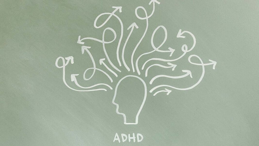 What could the world’s largest brain volume study reveal about ADHD and Parkinson’s? What could the world’s largest brain volume study reveal about ADHD and Parkinson’s?