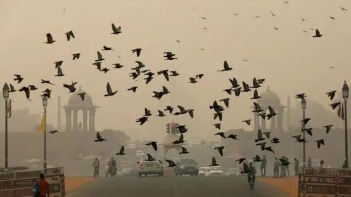 The Unseen Impact of Pollution on Animal Health