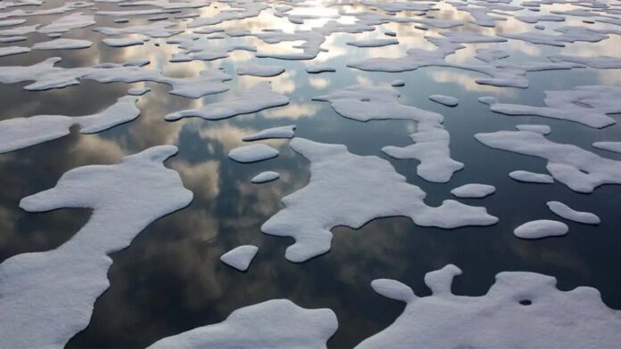 Unprecedented Arctic Shift: What Happens When the Tundra Starts Fighting Back?