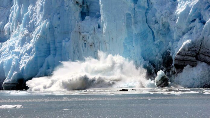 Can We Reverse the Arctic's Deadly Turn?