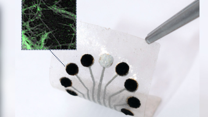 Can This Cutting-Edge Sensor Predict Disease Before Symptoms Even Appear?