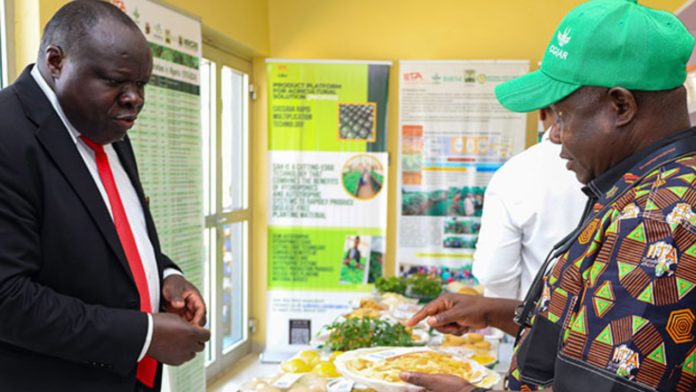Seeds of Change: Rwanda and Nigeria Join Forces to Feed Africa’s Future