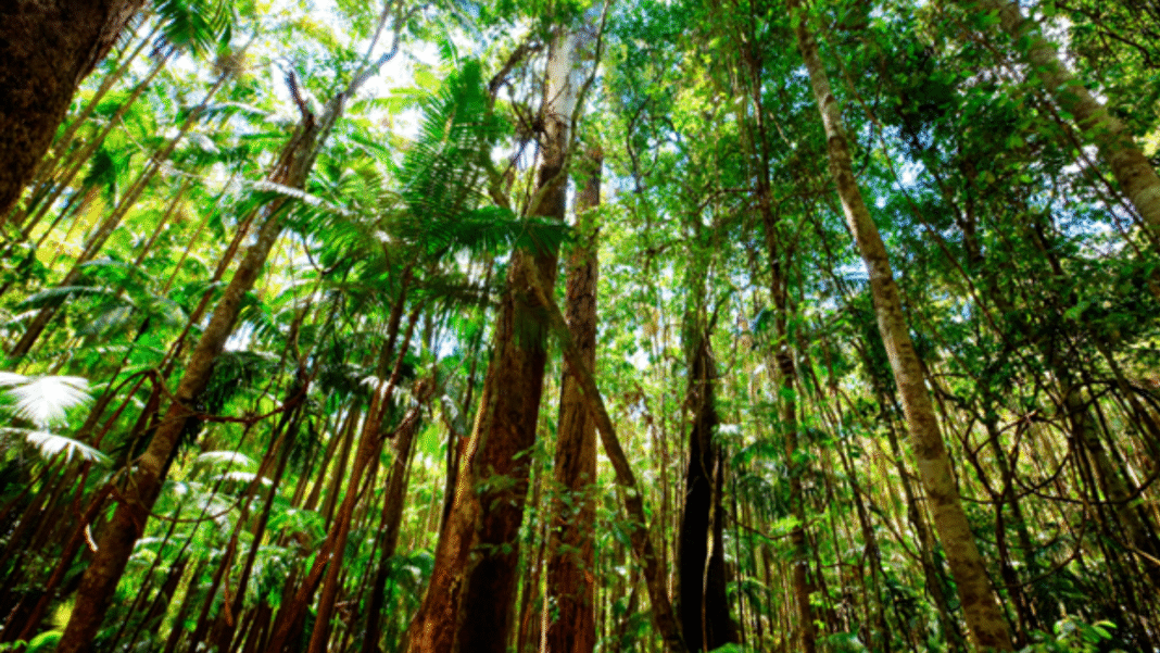 Advancing efforts to accelerate global biodiversity conservation and protection initiatives Advancing efforts to accelerate global biodiversity conservation and protection initiatives