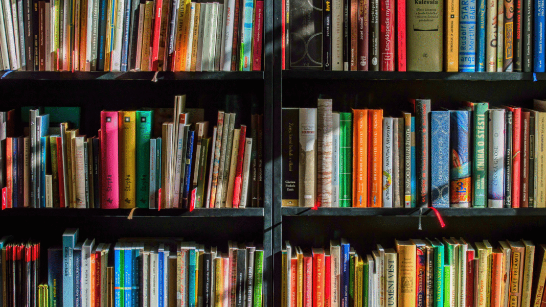 What Do These 10 South African Novels Reveal That History Books Don’t?