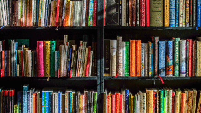 What Do These 10 South African Novels Reveal That History Books Don’t?