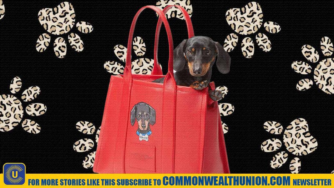 Paws & Prestige: Marc Jacobs Unveils Luxe Pet Portraits in the Hamptons