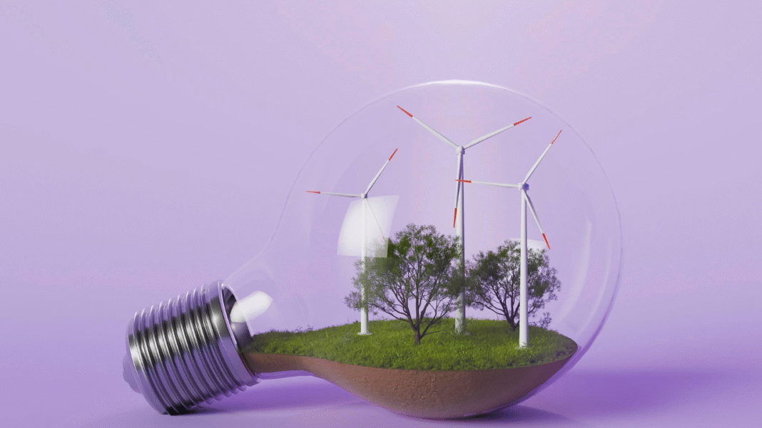 New Zealand’s Race to Net Zero: Will They Beat the 2050 Deadline or Fall Short?