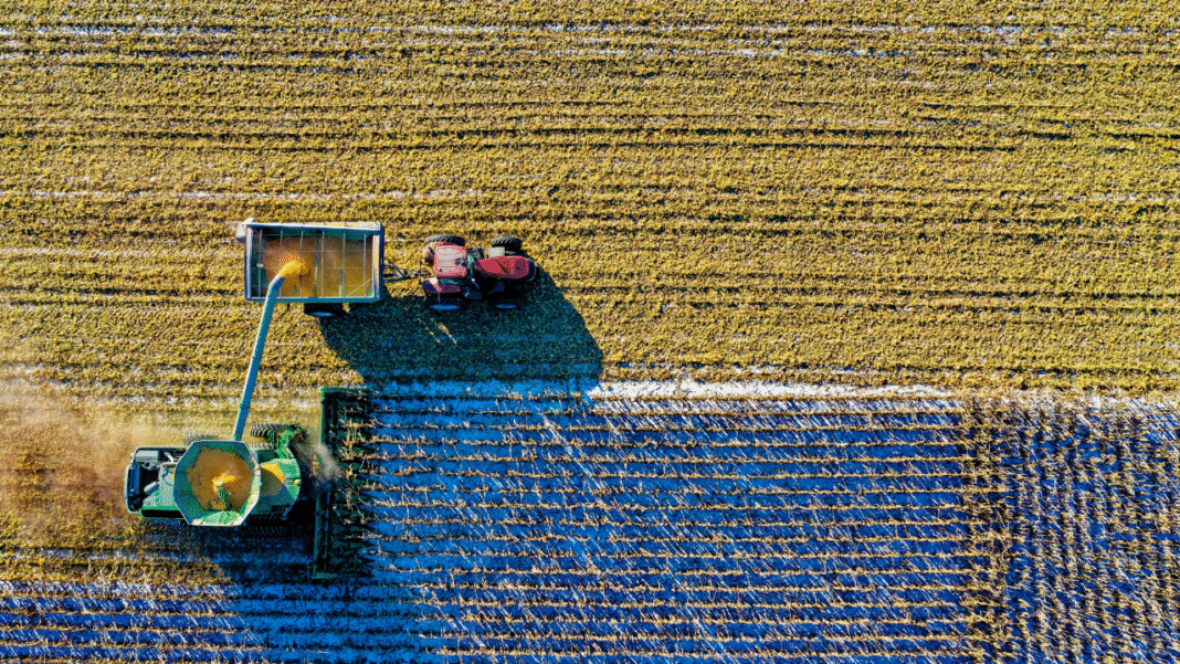 B.C. farmers suffered $457M in losses in 2024, the highest in Canada B.C. farmers suffered $457M in losses in 2024, the highest in Canada