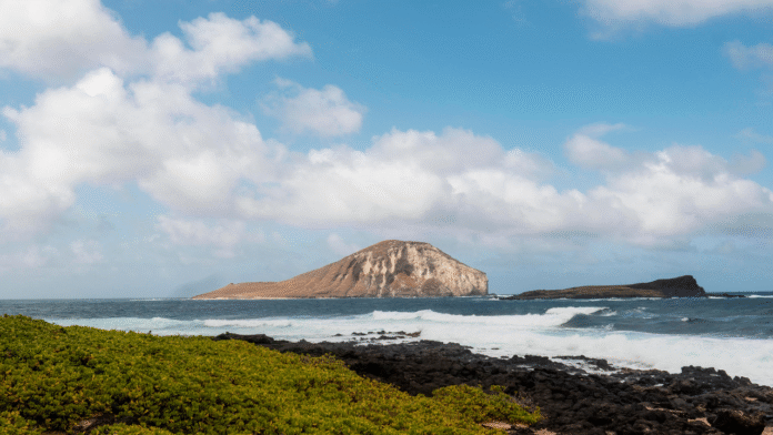 Why Scientists Are Racing to Protect Australia’s Most Remote Volcano Island