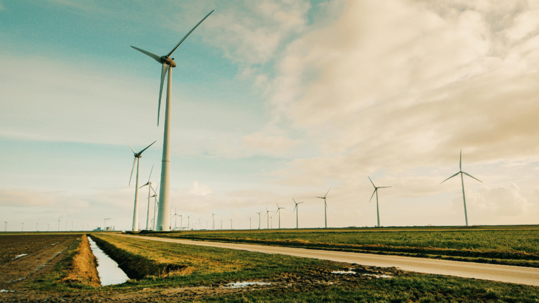 Europe's Energy Paradox- How Heatwaves Are Both Overloading and Undermining the Continent's Power Grid