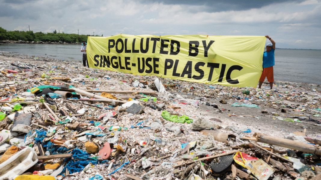 Choked by plastic: a catastrophe we cannot ignore