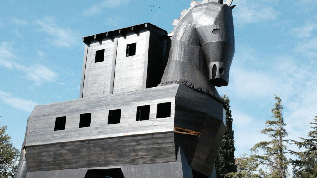 Trojan Horse Therapy: Bacteria Deliver Viral Bomb Straight into Tumors