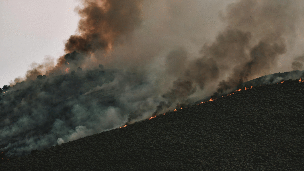 Massive Wildfires Force Extreme Travel Bans Across Nova Scotia Massive Wildfires Force Extreme Travel Bans Across Nova Scotia