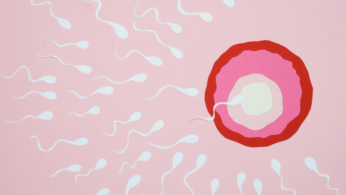 Scientists Reveal Semen Analysis Could Be the Future of Health Risk Prediction