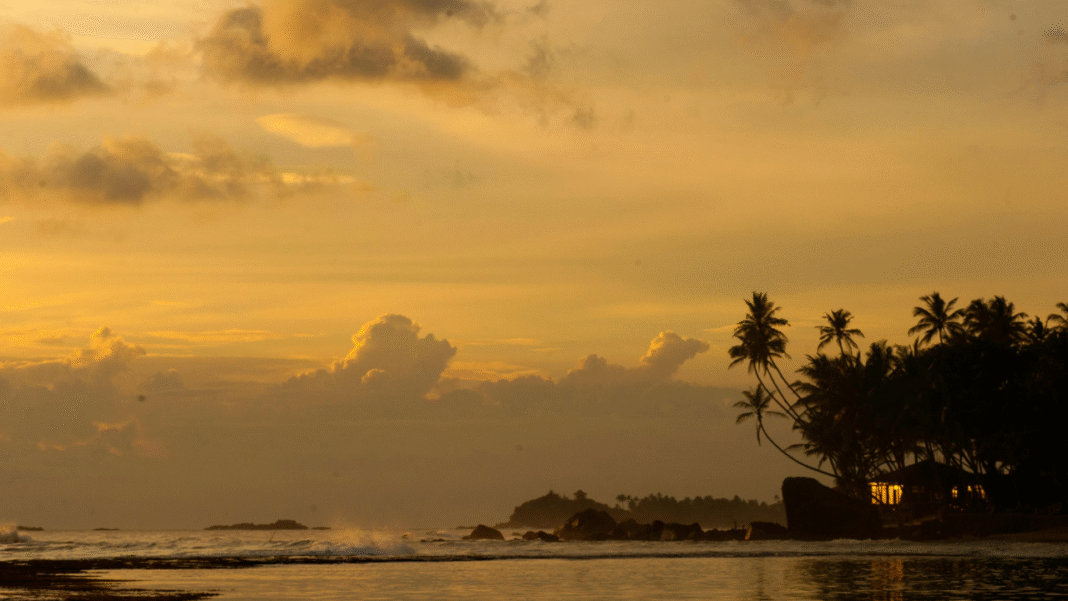 Jazz, Drums, and EDM: The Surprising Music Scene Putting Sri Lanka on the Map Jazz, Drums, and EDM: The Surprising Music Scene Putting Sri Lanka on the Map