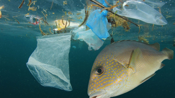 Commonwealth stakeholders unite before crucial negotiations on a global plastics treaty
