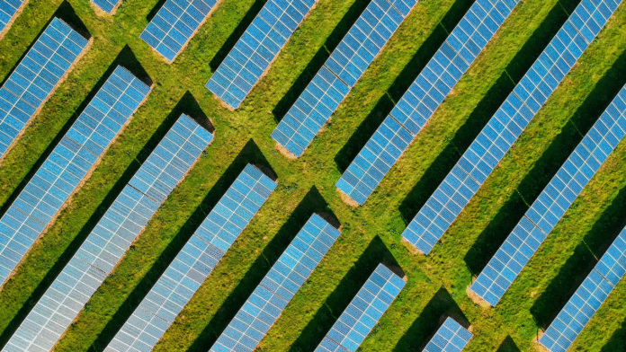 From Boom to Bust? Canadian Solar’s Stock Plummets Amid Policy and Profit Fears