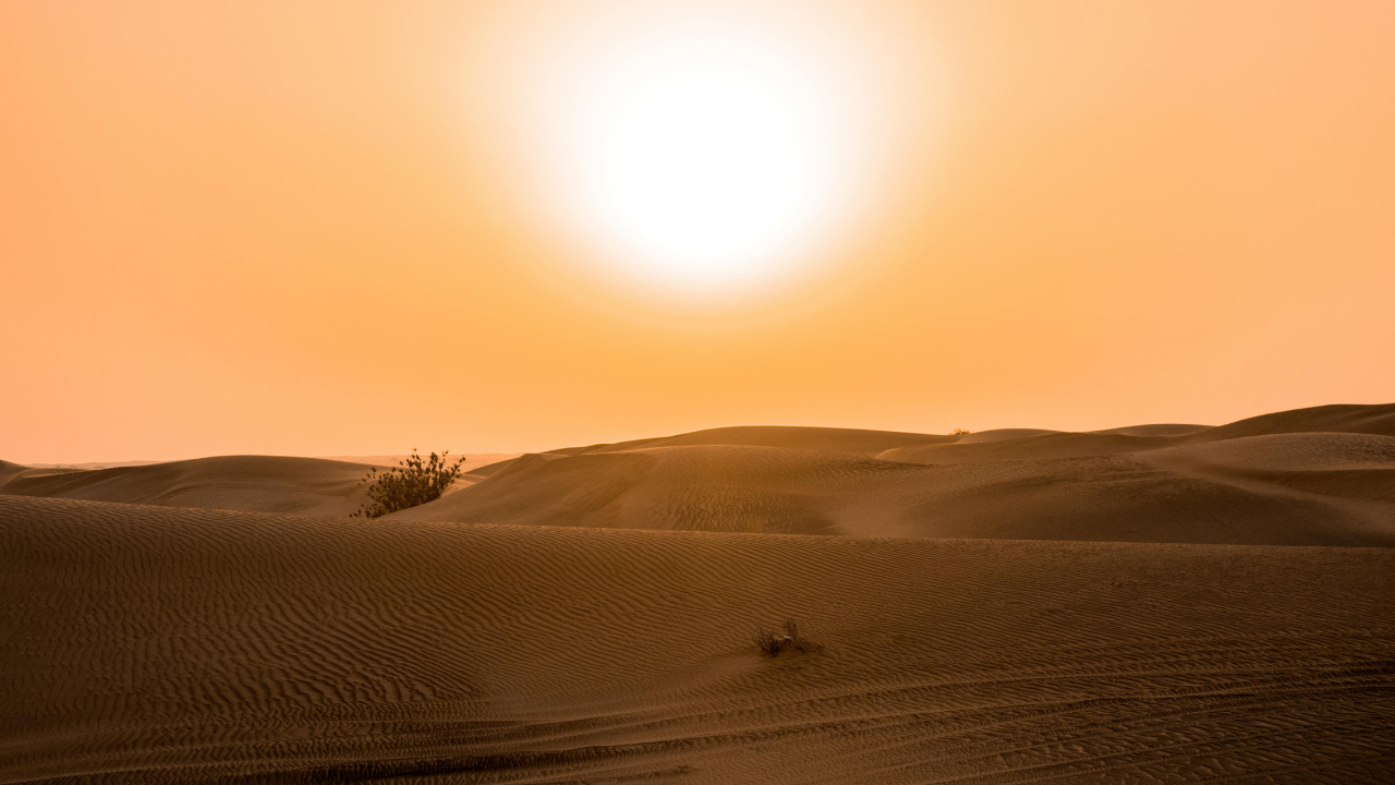 MIT Study Finds a Shocking Link Between Scorching Temperatures and Bad Moods MIT Study Finds a Shocking Link Between Scorching Temperatures and Bad Moods