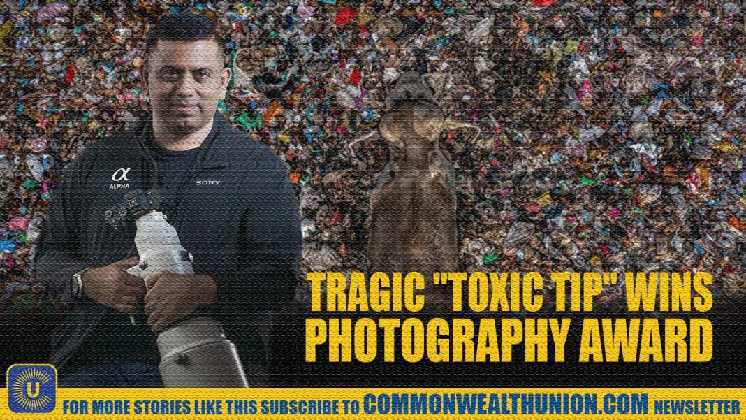 Sri Lankan Photographer Stuns the World: Elephant Photo Wins Top Wildlife Award! Sri Lankan Photographer Stuns the World: Elephant Photo Wins Top Wildlife Award!