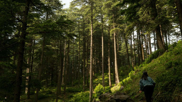Discover Uttarakhand: 10 Breathtaking Destinations You Can’t Miss