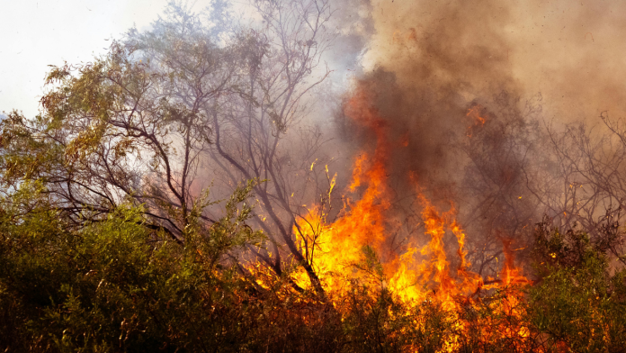 Five Alarming Realities from the National Risk Assessment in Australia