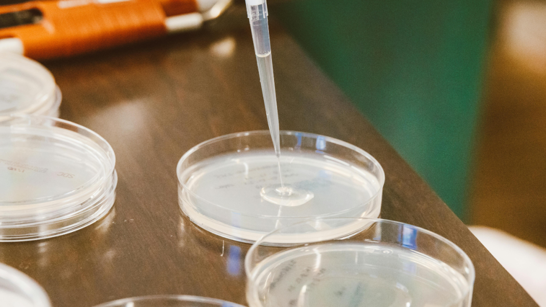 How ‘Virus Pirates’ Might Help Scientists Outwit Antibiotic-Resistant Bacteria How ‘Virus Pirates’ Might Help Scientists Outwit Antibiotic-Resistant Bacteria