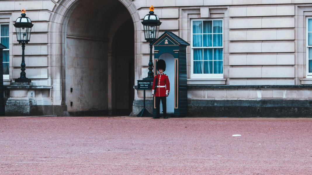 The Royal Green Alliance: How King Charles and Prince William Are Forging a Climate Dynasty The Royal Green Alliance: How King Charles and Prince William Are Forging a Climate Dynasty