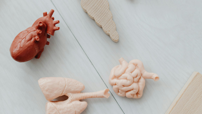 AI Meets Bioprinting: Could This Be the Future of Medicine?