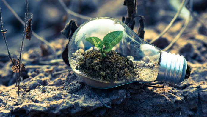 How Canada’s 2025 Clean50 Honorees Are Turning Ambition Into Measurable Climate Impact