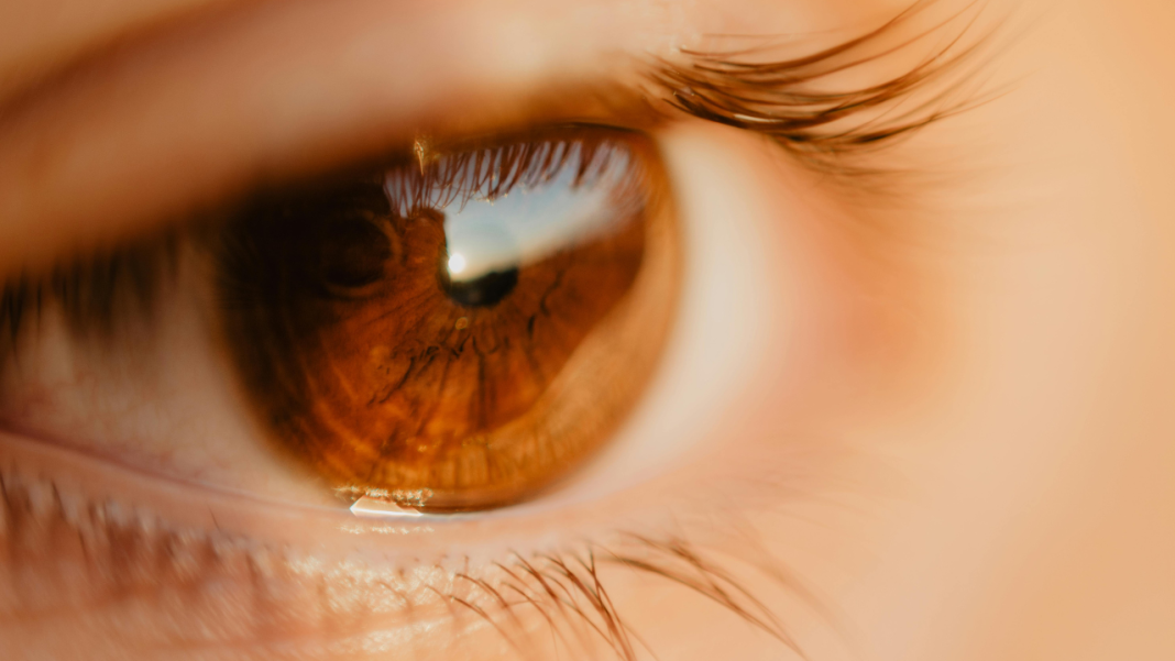 Can an electronic eye implant paired with AR glasses really restore reading vision to people blinded by dry AMD? Can an electronic eye implant paired with AR glasses really restore reading vision to people blinded by dry AMD?