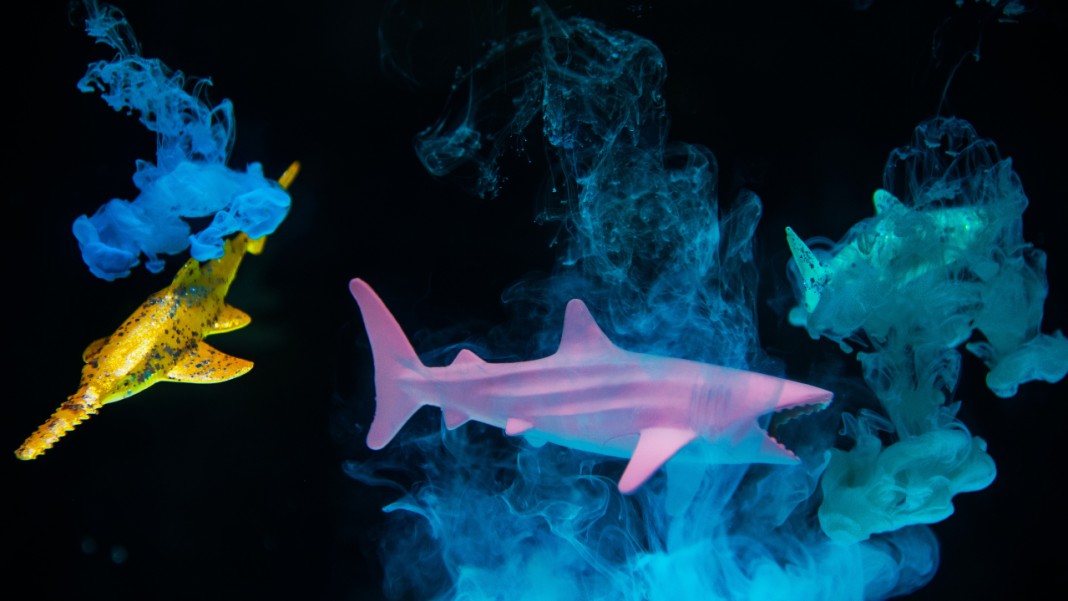 Scientists Unearth Two Brand-New Species in the Mysterious Deep Ocean