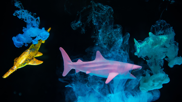 Scientists Unearth Two Brand-New Species in the Mysterious Deep Ocean