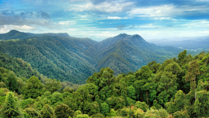 When rainforests start emitting carbon, world must wake up!