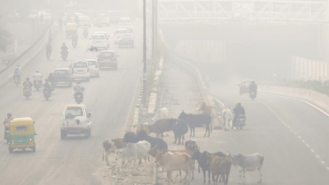 Smog chokes up Delhi again Smog chokes up Delhi again