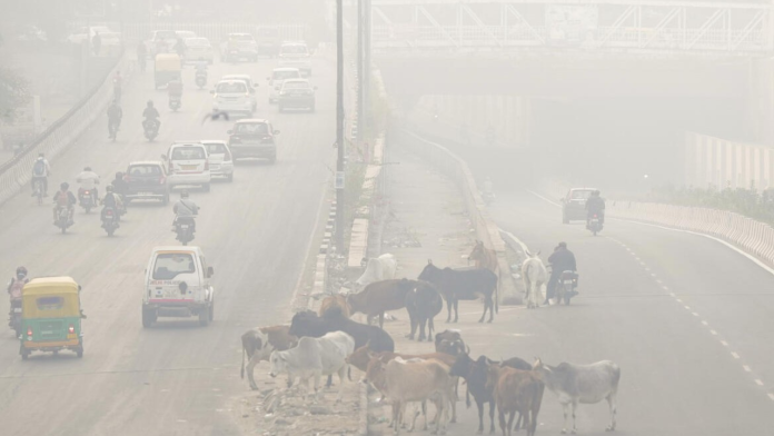 Smog chokes up Delhi again