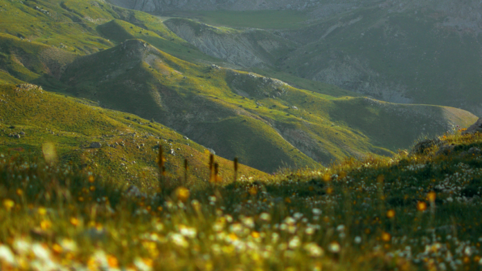 Green Travel in Africa: Leading the Eco-Tourism Wave
